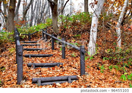 stairs full of fallen leaves stairs full of fallen leaves 96455103
