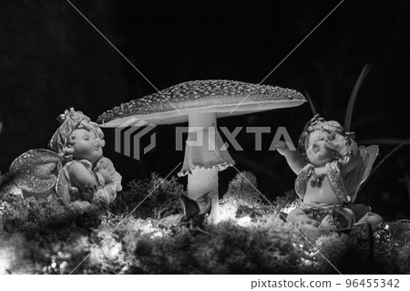 Fantasy Magical Mushrooms and elfs in enchanted Fairy Tale dreamy elf Forest with fabulous Fairytale Fantasy Magical Mushrooms and elfs in enchanted Fairy Tale dreamy elf Forest with fabulous Fairytale 96455342