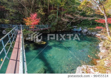 秋天的白龍湖(高知) 秋天的白龍湖(高知) 96455514