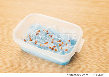 Cultivation of dried radish Cultivation of dried radish 96456038