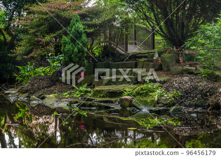 Stone, wooden bridges and swamps in the garden 96456179