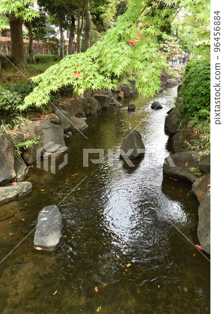 東京都江戶川區江戶川水上樂園 96456884