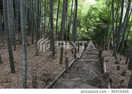 Mushanokoji Saneatsu Park, Chofu City, Tokyo 96456886