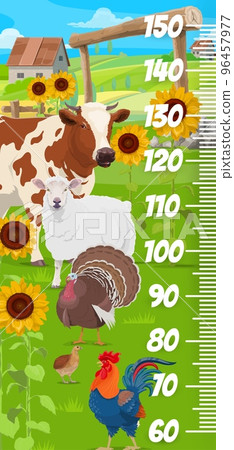 Kids height chart ruler with farm animals and birds, vector growth meter scale. Baby tall size measure ruler with cartoon cattle farm cow, sheep and turkey, rooster and partridge on farm Kids height chart ruler with farm animals and birds, vector growth meter scale. Baby tall size measure ruler with cartoon cattle farm cow, sheep and turkey, rooster and partridge on farm 96457977