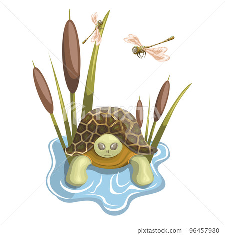 Vector image of a turtle swimming in its pond Vector image of a turtle swimming in its pond 96457980