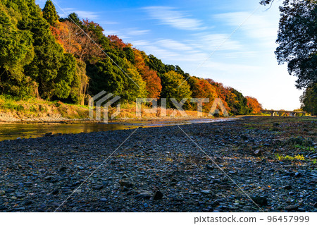 埼玉縣嵐山町嵐山溪谷的紅葉 96457999
