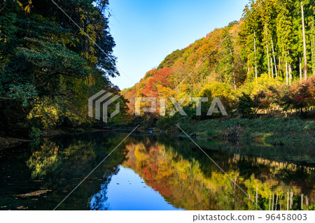 埼玉縣嵐山町嵐山溪谷的紅葉 埼玉縣嵐山町嵐山溪谷的紅葉 96458003