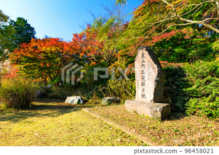 Autumn leaves in Ranzan Valley, Ranzan Town, Saitama Prefecture 96458021