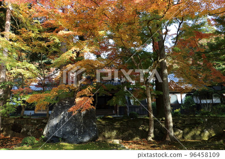 Autumn leaves of Kiyomizu Temple's main booth garden 96458109