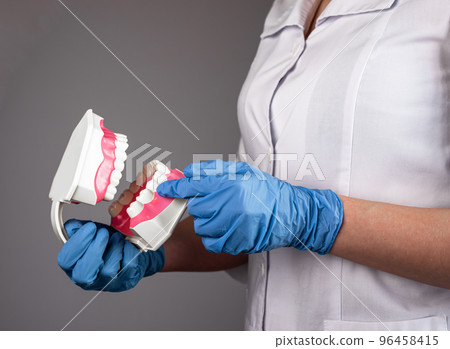 Dentist with teeth jaw model in hand. Dentistry and stomatology concept Dentist with teeth jaw model in hand. Dentistry and stomatology concept 96458415