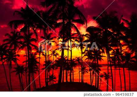 Vivid golden sunset on tropical coast with coconut palm trees silhouettes Vivid golden sunset on tropical coast with coconut palm trees silhouettes 96459837