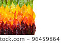 Colorful autumn leaves gradient border, fall foliage frame isolated on white background top view 96459864