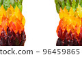 Colorful autumn leaves gradient border, fall foliage frame isolated on white background top view 96459865