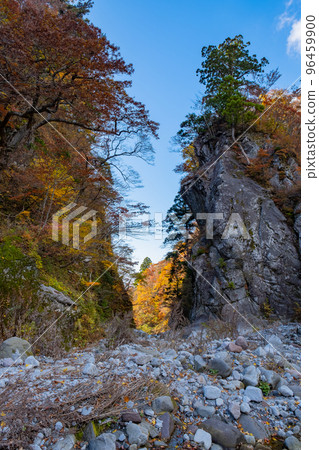 鳥取縣西伯郡金門大山大山町 96459900