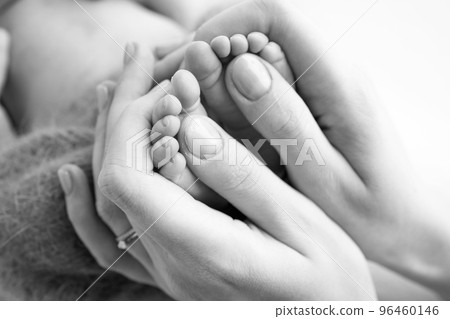 Legs, toes, feet and heels of a newborn. With the hands of parents, father, mother gently holds the child's legs. Macro photography, close-up. Black and white photo. High quality photo Legs, toes, feet and heels of a newborn. With the hands of parents, father, mother gently holds the child's legs. Macro photography, close-up. Black and white photo. High quality photo 96460146