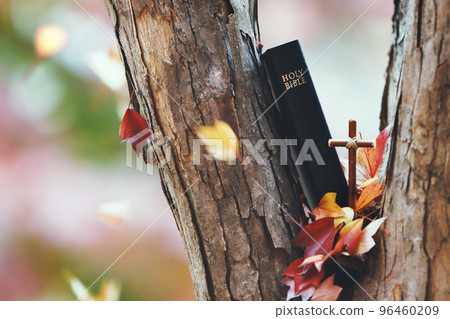 Falling red autumn maple leaves and the cross of Jesus Christ and the Bible Falling red autumn maple leaves and the cross of Jesus Christ and the Bible 96460209