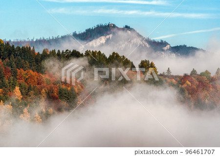 Foggy weather and colorful autumn trees in forest with hill at background 96461707