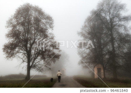 A man walking with a dog on a road in foggy autumn park in the morning 96461840