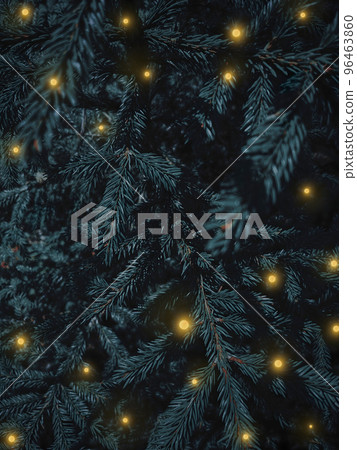 Christmas tree fluffy branches with gold shiny lights. Festive Xmas border of green branch of pine. Pattern spruce branch. New Year vertical background with space for text. Christmas wallpaper or 96463860