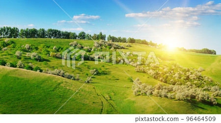 meadow with distant hills, trees and cloudy sky. Wide photo. meadow with distant hills, trees and cloudy sky. Wide photo. 96464509