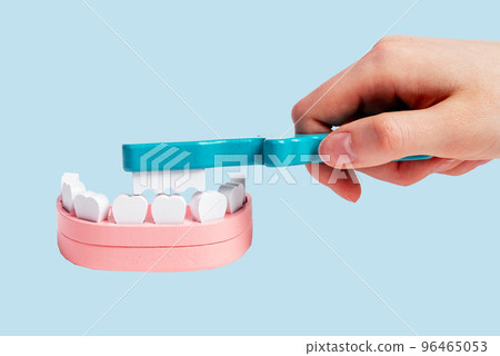 Hand cleaning teeth in jaw model with brush. Dental care, prevention of caries and periodontal disease, oral hygiene concept. Children game at dentist, skill learning 96465053