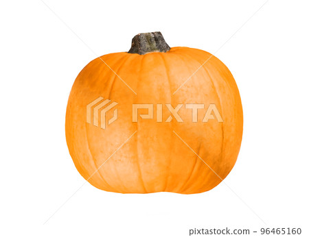 Orange pumpkin isolated on white background Orange pumpkin isolated on white background 96465160