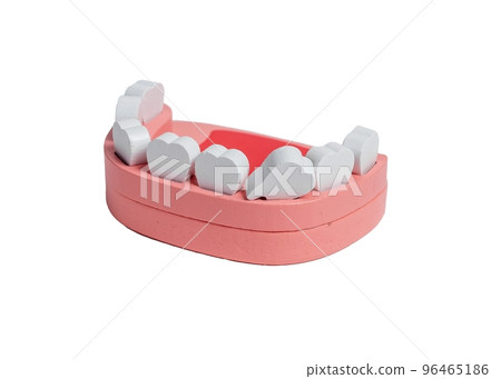 Milk tooth loss. Wooden human jaw model isolated on white background. Deciduous, baby teeth. Kids toy. Milk tooth loss. Wooden human jaw model isolated on white background. Deciduous, baby teeth. Kids toy. 96465186