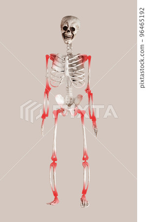 Joints pain concept. Skeleton with acheingelbow, knees Joints pain concept. Skeleton with acheingelbow, knees 96465192
