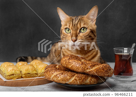 Traditions of Turkey - delicious baklava, simit with sesame seeds, Turkish tea and cat. Traditions of Turkey - delicious baklava, simit with sesame seeds, Turkish tea and cat. 96466211