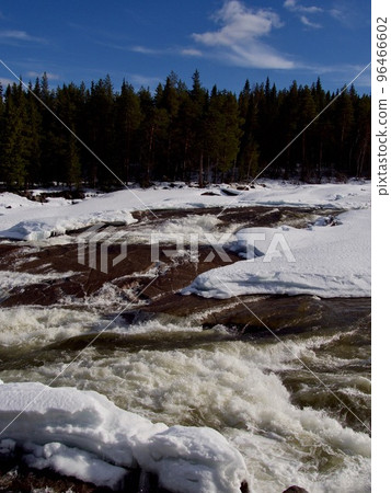Storforsen, biggest waterfall in Sweden Storforsen, biggest waterfall in Sweden 96466602