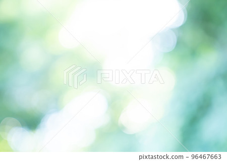 清新綠色,背景,綠色,樹葉,自然,風景,模糊,植物,陽光透過樹葉過濾,清新綠色圖片,背景合成圖片素材 清新綠色,背景,綠色,樹葉,自然,風景,模糊,植物,陽光透過樹葉過濾,清新綠色圖片,背景合成圖片素材 96467663