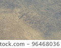 River fish 96468036