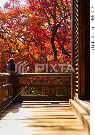 Autumn in Kyoto Saga-Arashiyama Hokyo-in main hall with autumn leaves Autumn in Kyoto Saga-Arashiyama Hokyo-in main hall with autumn leaves 96468172