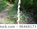 Twisted tree 96468173