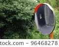 curve-mirror	 96468278