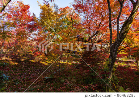 秋天在佐賀嵐山，京都有秋葉的法京院 96468283
