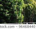 stretched bamboo shoots 96468440