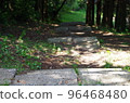 Stone steps in the forest 96468480