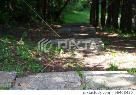 Stone steps in the forest Stone steps in the forest 96468480