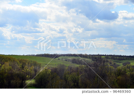 Panorama of the rural landscape in the early summer 96469360