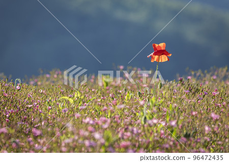 landscape on jaraseom 96472435