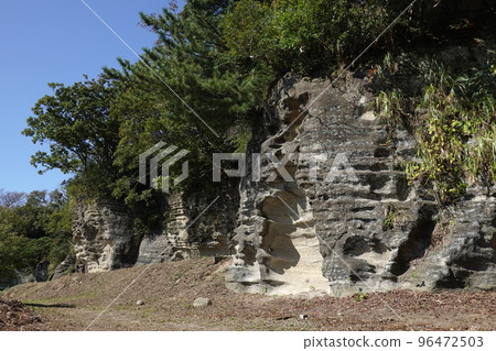 桑巴排球的珍貴海岸 桑巴排球的珍貴海岸 96472503