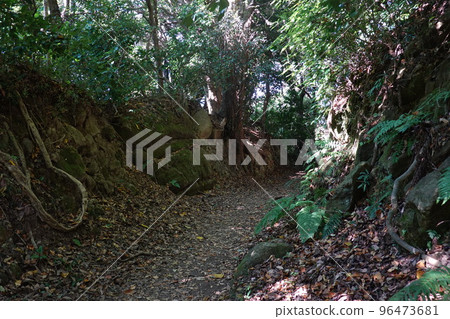 Nagoshi cut 96473681