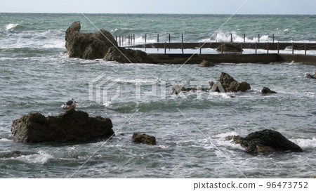一隻黑尾鷗在礁石和洶湧的日本海中休息 一隻黑尾鷗在礁石和洶湧的日本海中休息 96473752