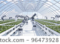 Smart farm with robot hands growing and harvesting vegetables in greenhouse with sky background. Innovative technology and agriculture concept. 3D illustration rendering 96473928