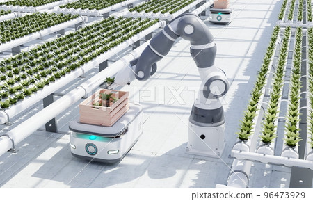 AGV robot courier cars transporting hydroponics vegetable crates to stock in warehouse for delivery to customers in greenhouse dome background. Smart farming and technology. 3D illustration rendering AGV robot courier cars transporting hydroponics vegetable crates to stock in warehouse for delivery to customers in greenhouse dome background. Smart farming and technology. 3D illustration rendering 96473929
