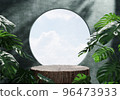 Wooden product display podium in green room with monstera plant and sunshine shadow background. Product presentation theme. Nature and Organic cosmetic and food concept. 3D illustration rendering 96473933