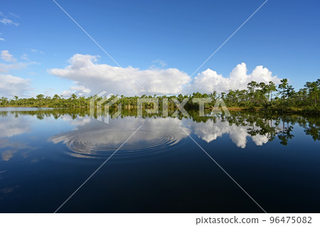 Autumn cloudscape over Pine Glades Lake in Everglades National Park. Autumn cloudscape over Pine Glades Lake in Everglades National Park. 96475082