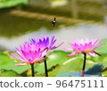 A dragonfly that came in front, a dragonfly that won't stop, a dragonfly that only moves forward. 96475111