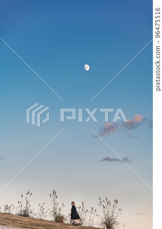The evening sky, the moon, pampas grass, and a woman The evening sky, the moon, pampas grass, and a woman 96475516